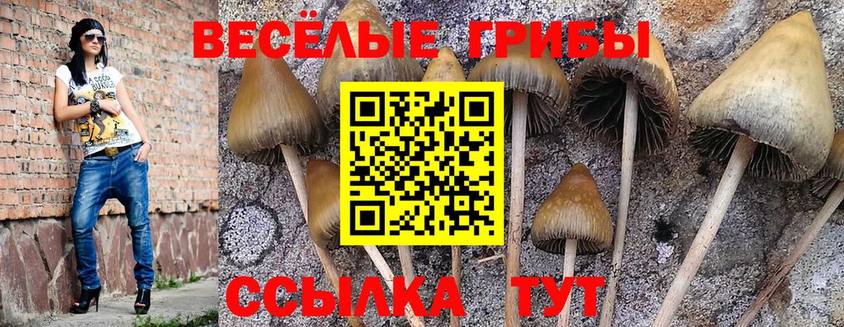 Галлюциногенные грибы GOLDEN TEACHER  купить  сайты  Батайск  Вход с VPN 